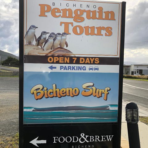 Bicheno Getaway - Accommodation Port Macquarie 4