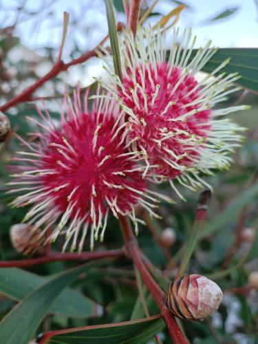 Beaumaris Beach Guest House - Accommodation Port Macquarie 3