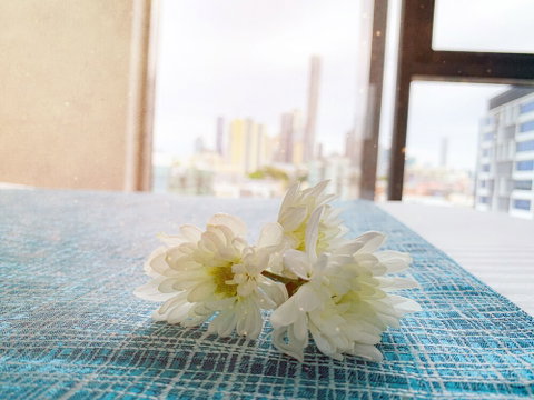 Apartments On Connor - Accommodation Port Macquarie 5