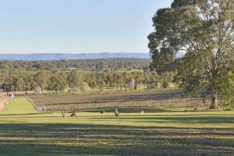 Sandalyn Estate Hunter Valley - Accommodation Port Macquarie 3