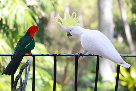 Palm Beach Bed & Breakfast - Accommodation Port Macquarie 4