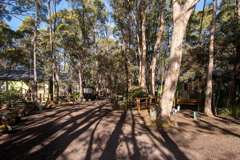 Lake St Clair Lodge - Accommodation Port Macquarie 2