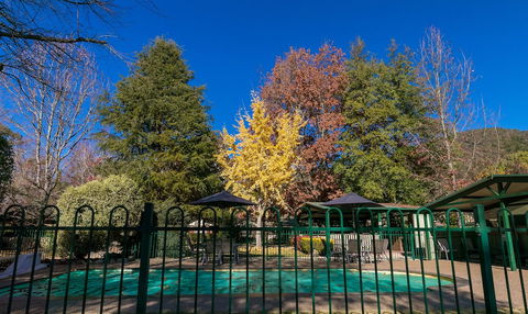 The Birch House - Silver Birches - Accommodation Port Macquarie 1