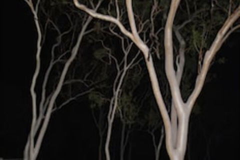 Sunbird Motel - Accommodation Port Macquarie 4