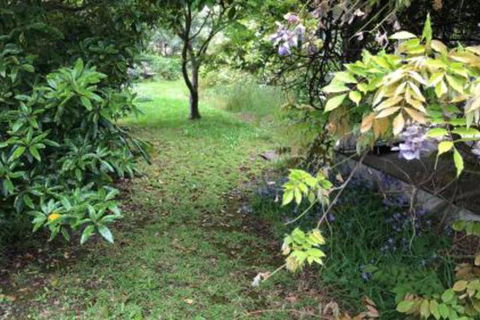 Lorelei Bed & Breakfast - Accommodation Port Macquarie 2