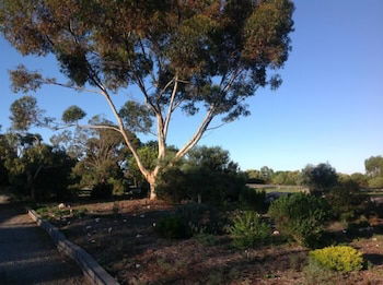 Murray Bridge Motor Inn - Accommodation Port Macquarie 1