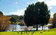 Ducks Bay - thumb 3
