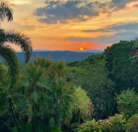 Daintree Manor Bed  Breakfast - Accommodation Port Macquarie
