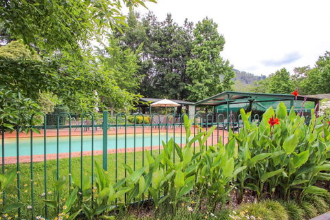Silver Birches Holiday Unit 5 - Accommodation Port Macquarie 5