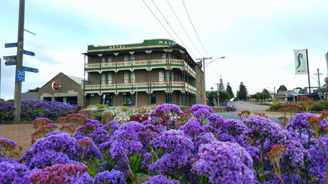 Georgia - Accommodation Port Macquarie 2