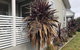 Taboga 3 Bedroom 3 Bathroom Villia - thumb 1