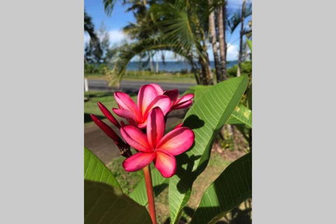 Mission Possible - Accommodation Port Macquarie 6
