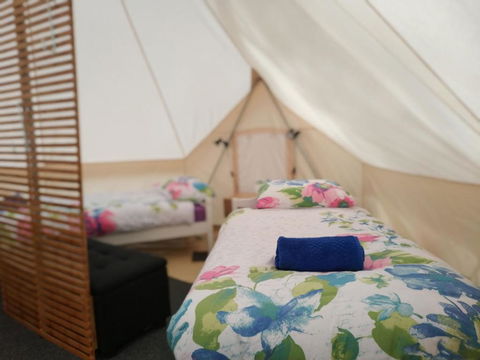 Glamping At Zeehan Bush Camp - Accommodation Port Macquarie 6