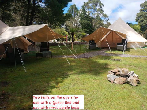 Glamping At Zeehan Bush Camp - Accommodation Port Macquarie 2