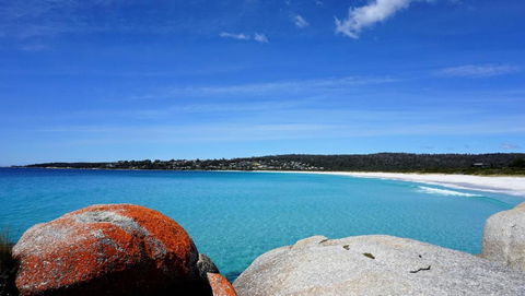 SEA EAGLE COTTAGE Amazing Views Of Bay Of Fires - Accommodation Port Macquarie 6