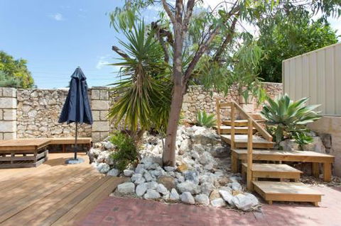 Dingo At White Gum Lodge - Accommodation Port Macquarie 4