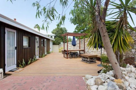 Dingo At White Gum Lodge - Accommodation Port Macquarie 2