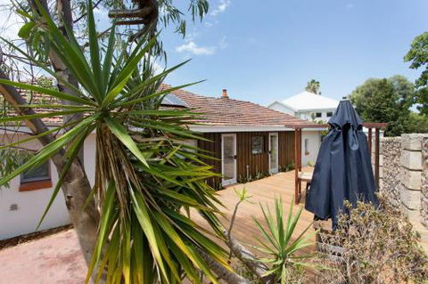 Dingo At White Gum Lodge - Accommodation Port Macquarie 5