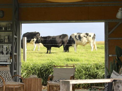 THE SHED Gerroa 4pm Checkout On Sundays & Public Holidays - Accommodation Port Macquarie 6