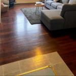 Honey At KI - Accommodation Port Macquarie 0