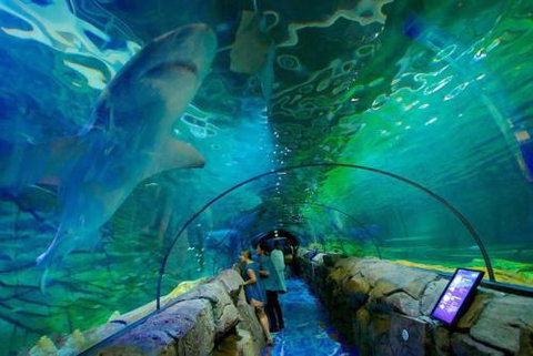 A Modern & Cozy Studio Next To Darling Harbour - Accommodation Port Macquarie 6