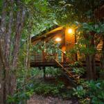 Wildwood - Accommodation Port Macquarie 0