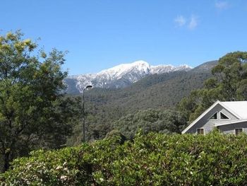 Ridge Runner - Accommodation Port Macquarie 6