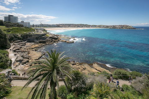 Ultimate Bondi Escape - Accommodation Port Macquarie 4