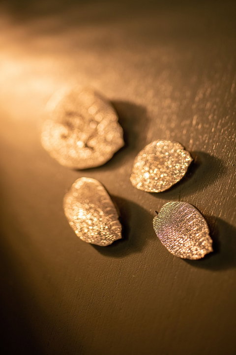 Majestic M Suites - Accommodation Port Macquarie 1