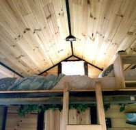 Big Tiny Dale View Tiny House - Accommodation Port Macquarie