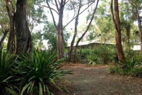 Port Stephens Koala Sanctuary - Accommodation Port Macquarie 2