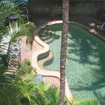 Palms Trinity Beach - Accommodation Port Macquarie 0