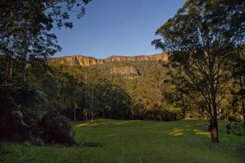 The Cedars Cottages - Accommodation Port Macquarie 3