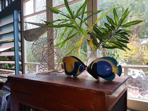 Lilybank Guest House - Accommodation Port Macquarie 3