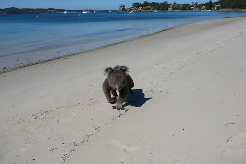 The Mitchells Waterfront Bed & Breakfast - Accommodation Port Macquarie 7