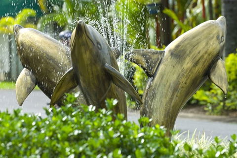 Cairns Coconut Holiday Resort - Accommodation Port Macquarie 1