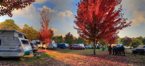 Beechworth Lake Sambell Caravan Park - Accommodation Port Macquarie 3