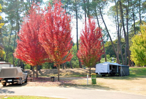 Beechworth Lake Sambell Caravan Park - Accommodation Port Macquarie 1