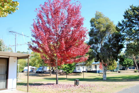 Beechworth Lake Sambell Caravan Park - Accommodation Port Macquarie 6