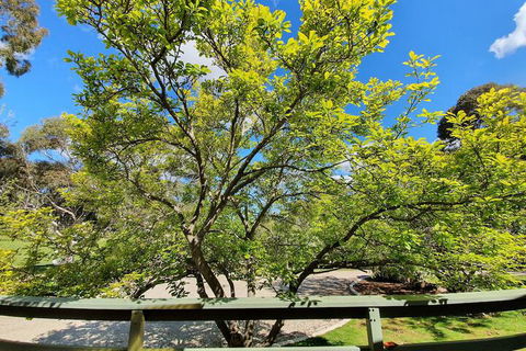 Annies Holiday Units - Accommodation Port Macquarie 2