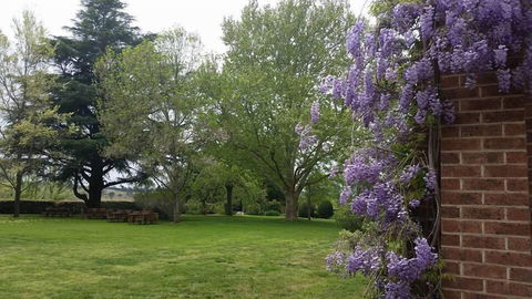 Petersons Armidale Winery & Guesthouse - Accommodation Port Macquarie 0