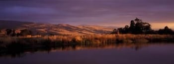 Wombat Hills Cottages - Accommodation Port Macquarie 0