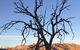 Burnt Creek Cottages Mansfield - thumb 2