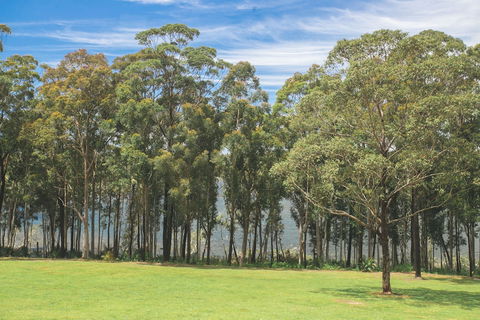 The Jackson Ranch - Accommodation Port Macquarie 4