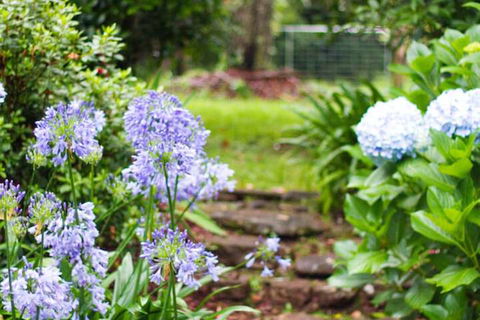 Mt Glorious Getaways - Accommodation Port Macquarie 4
