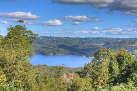 Montville Misty View Cottages - Accommodation Port Macquarie 1