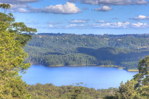 Montville Misty View Cottages - Accommodation Port Macquarie 3