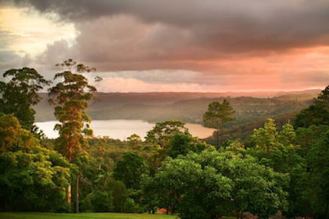 Montville Misty View Cottages - Accommodation Port Macquarie 0