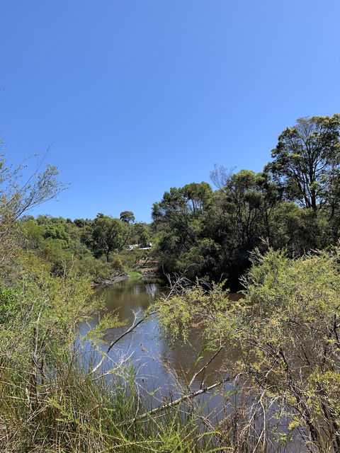 Denmark Forest Retreat - Accommodation Port Macquarie 3