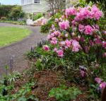 Anabels of Scottsdale - Accommodation Port Macquarie
